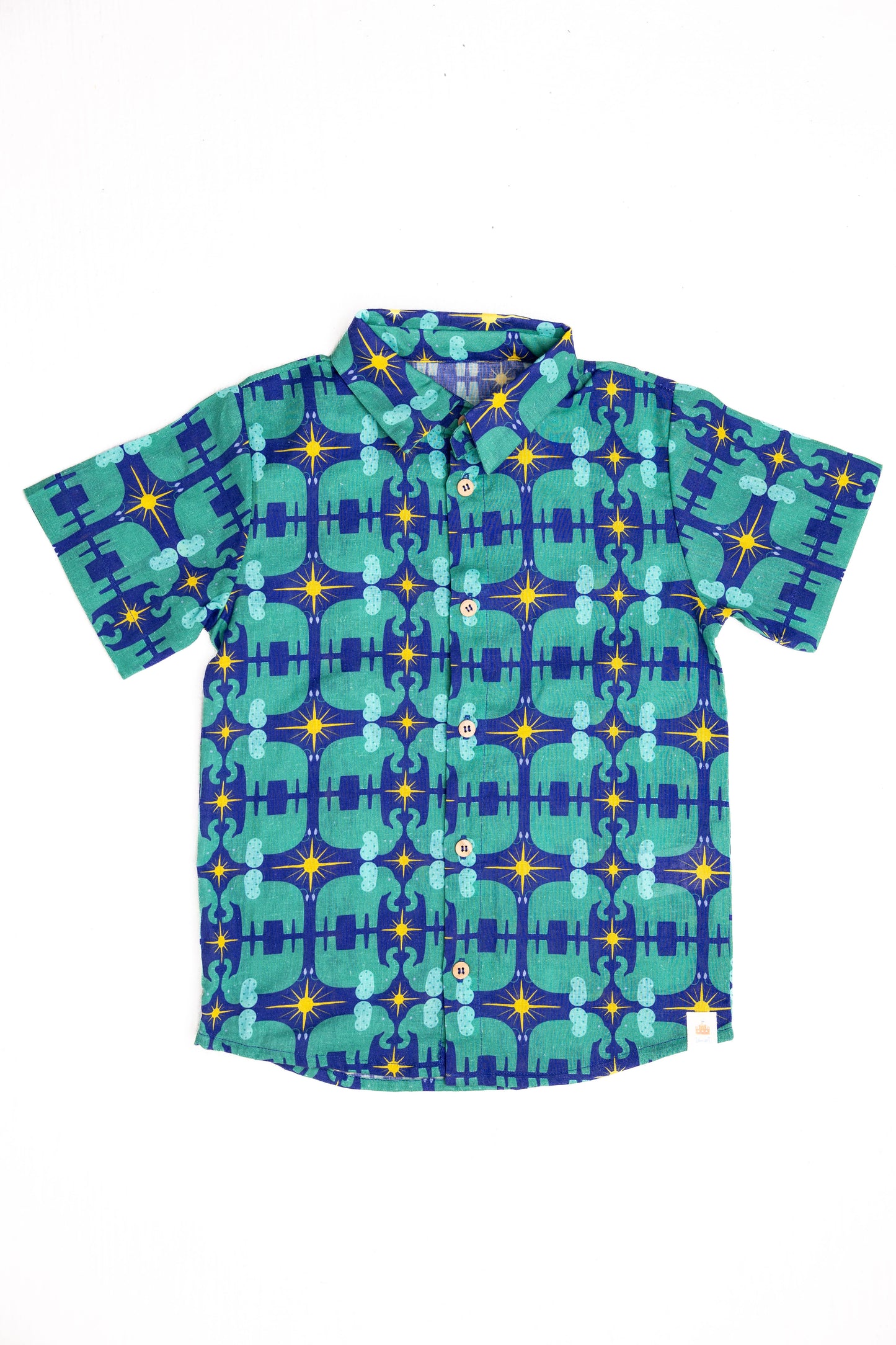 Vibrant Boys Top