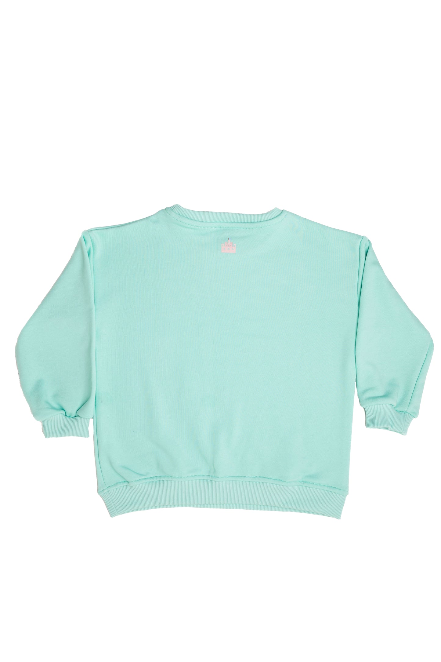 Unisex Sky Blue Basic Sweatshirt