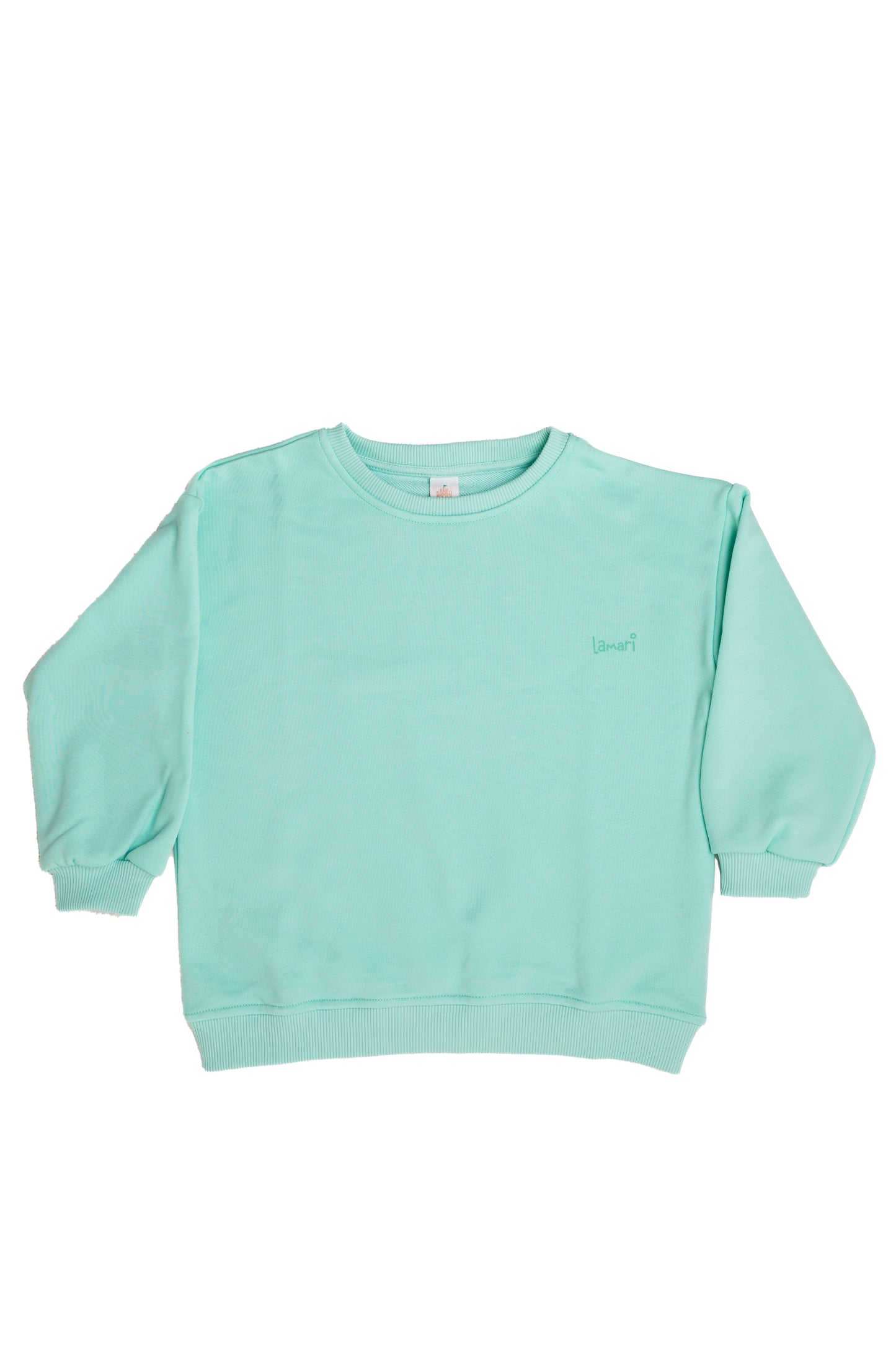 Unisex Sky Blue Basic Sweatshirt